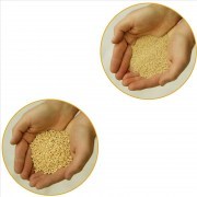 Absorbentes granulados universales/químicos